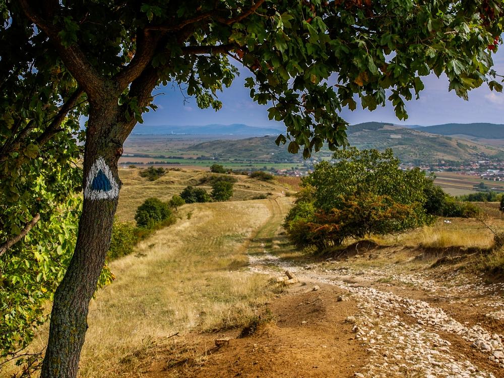 castru_de_pamant_de_la_magulici_ighiu_-marcaj_traseu