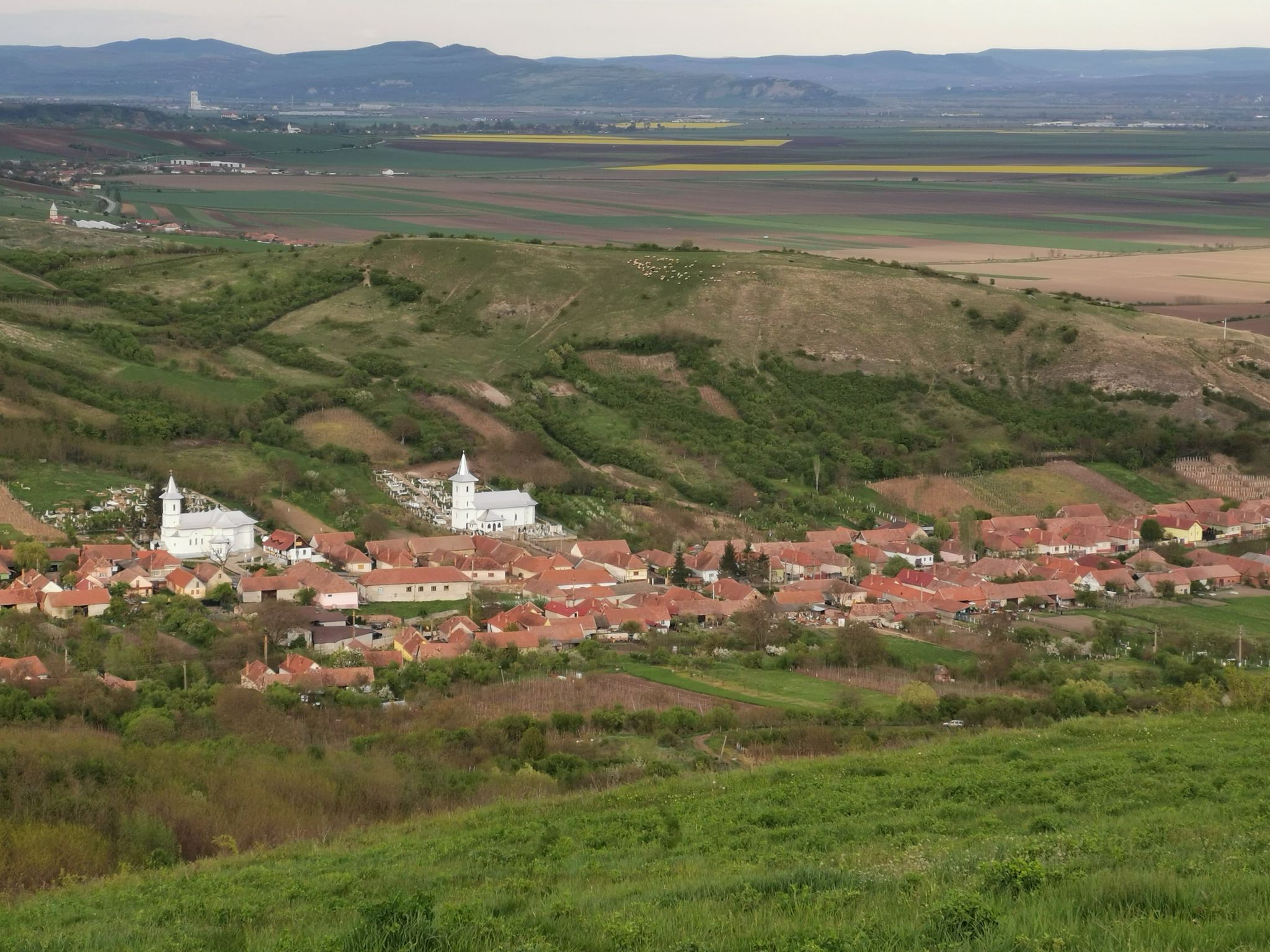 poza_bucerdea_vinoasa_cu_cele_2_biserici